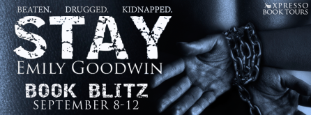 StayBlitzBanner1