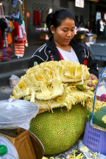 giant_jackfruit_s