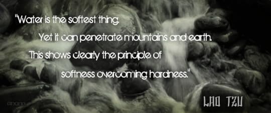  photo 171C3332-A8AA-43CE-BD7D-155CF368F90C.png