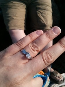 10540385_10152590245536950_3931060745935311681_n