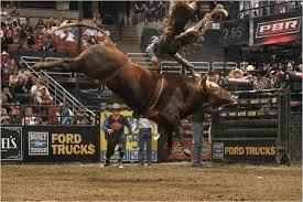 Bushwacker doing his thing.