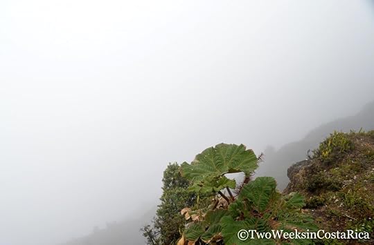 Poas Volcano Clouded Over
