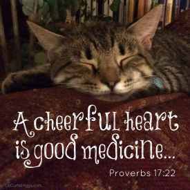 Proverbs 17:22