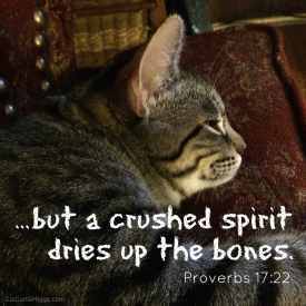 Proverbs 17:22
