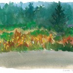 looking inland over the marsh