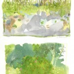 The sun was fierce so I sat in the shade of the house and painted a more limited vista. Love the bottom one.