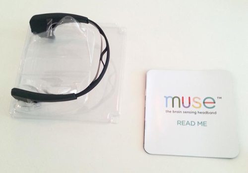 The 2014 Muse headband