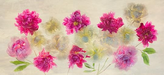 Painterly Peony Pano © Harold Davis