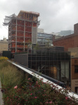 Highline 1