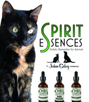 Spirit_Essences_holistic_remedies
