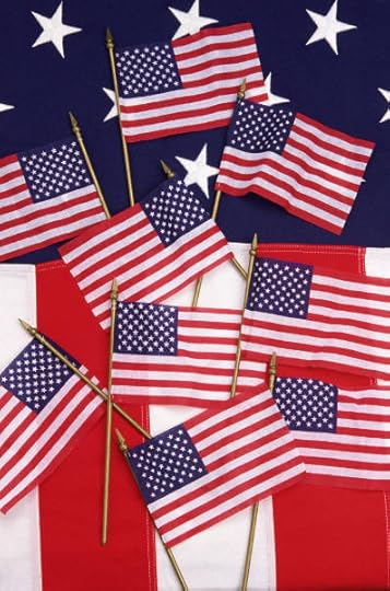 usa flag