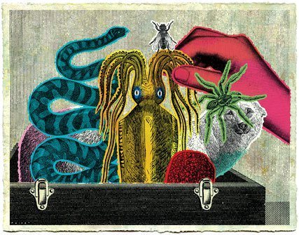 (Illustration: Chloé Poizat)
