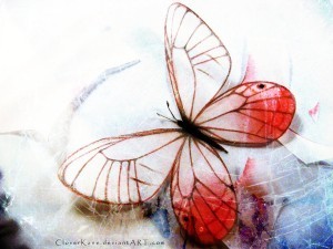 pink_glasswing_butterfly_by_cloverkane-d52sav3