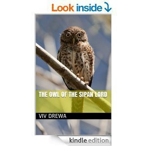 The Owl of the Sipan Lord by Viv Drewa
