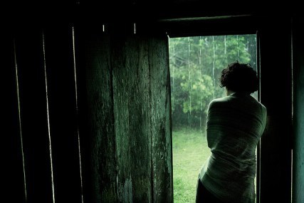 WoodShedRainShelter