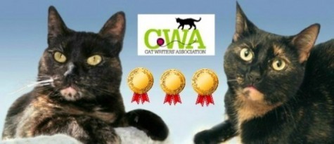 Conscious_Cat_excellence