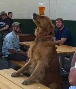 I'll be here all night, folks!