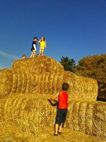 Fall Family Fun: Straw Pyramid, Hayride, Maze in Henry County Indiana