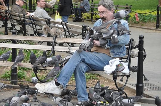 File:Man with many pigeons in Washington Square Park, New York.jpg