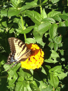 From iphone 8.2014 680