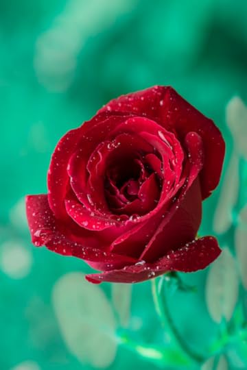  photo tumblr_n11d2c3LhU1rub0hvo1_500_zps1438a18c.png