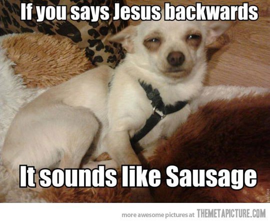 funny-dog-sleepy-eyes