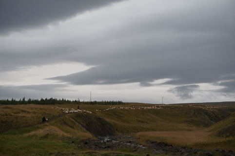 10-20140905-DSC03265