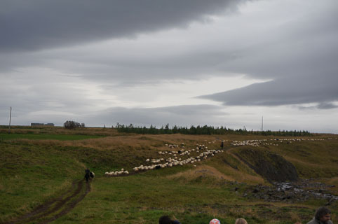 11-20140905-DSC03267