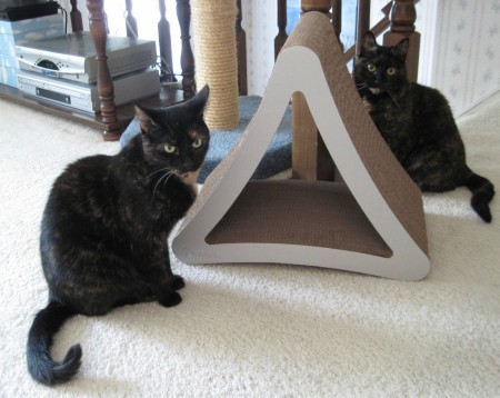Petfusion-scratcher