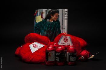 Bookandsinfonieannieblatt