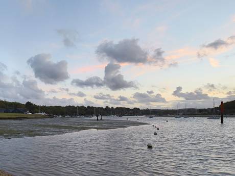 Fishbourne which inspired Kate's current literary gothic thriller The Taxidermist's Daughter via the Independent 