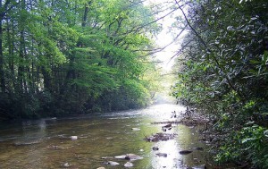 writing by the river