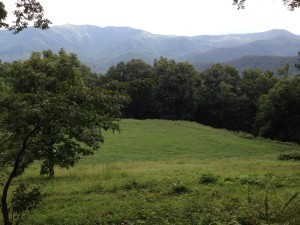 IMG_2010