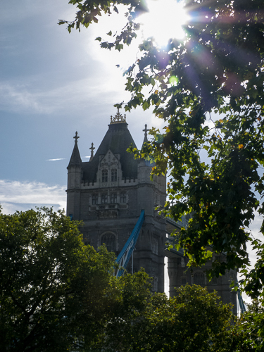 Tower Bridge Through the Trees