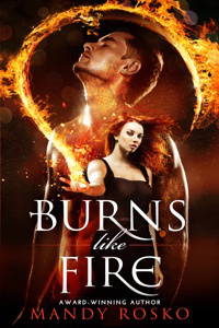burns like fire 200X300