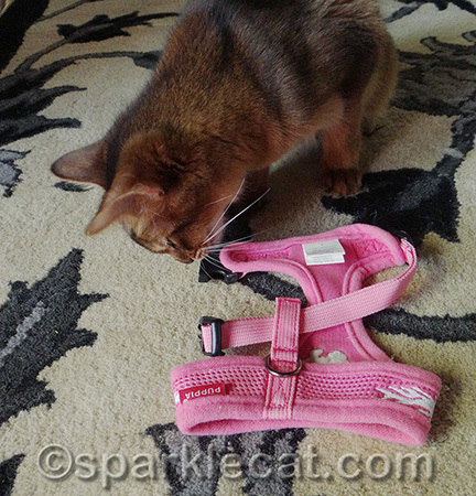 Hey! It smells like me!