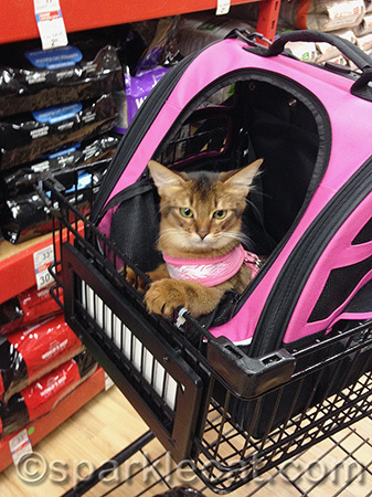 Shopping for cat litter is serious business!