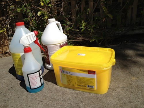 Photo Aug 20, 2 54 11 PM