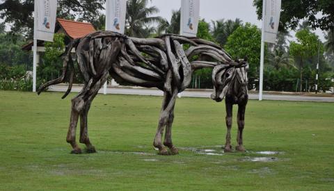  photo DSC_1111_zpseatafd2s.jpg