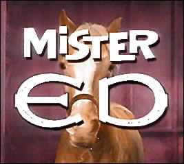 Mister Ed