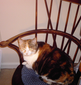 KatyInChair