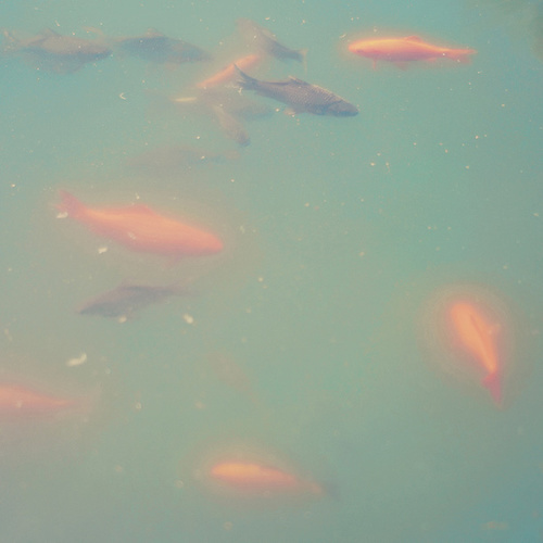 Photo by Ana Luisa Pinto