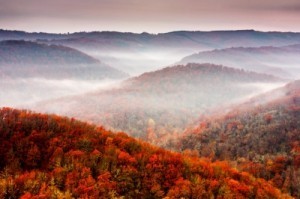 freedigitalphotos.net/ Evgeni Dinev