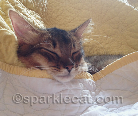 I really didn't need to be, um, tucked in