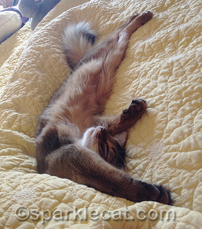Yes, this is comfortable