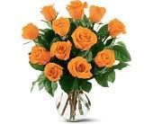 orange roses photo: 12 Orange Roses SW0_93679.jpg