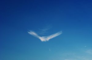 flat,550x550,075,f.u2