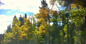 fall in colorado mountains