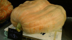 DSC01201