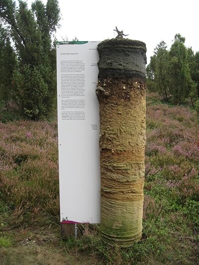 Südheide information display